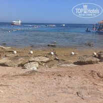 фото из отзыва ID 2365975