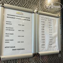 фото из отзыва ID 2366167