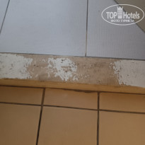 фото из отзыва ID 2366239