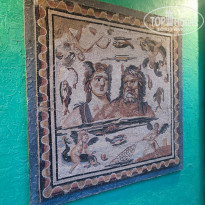 фото из отзыва ID 2366294