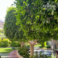 фото из отзыва ID 2366348