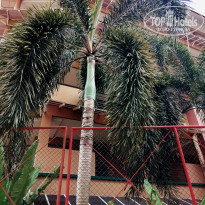 фото из отзыва ID 2366411