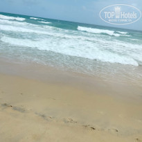 фото из отзыва ID 2366411