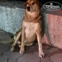 фото из отзыва ID 2366444