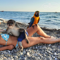 фото из отзыва ID 2366444