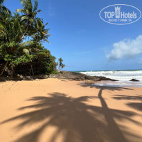 фото из отзыва ID 2366487