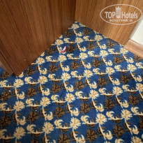 фото из отзыва ID 2366492