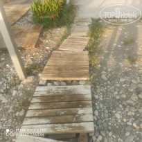 фото из отзыва ID 2366701