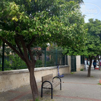 фото из отзыва ID 2366894