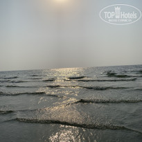 фото из отзыва ID 2366234