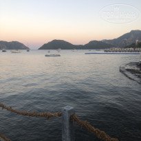 фото из отзыва ID 2366784