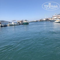 фото из отзыва ID 2366784