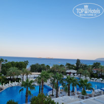 фото из отзыва ID 2367209