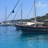 фото из отзыва ID 2367348