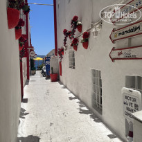 фото из отзыва ID 2367348