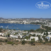 фото из отзыва ID 2367348