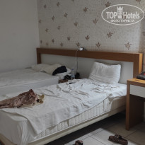 фото из отзыва ID 2367442