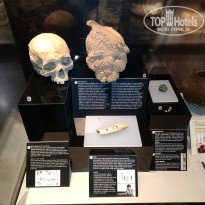 фото из отзыва ID 2367558