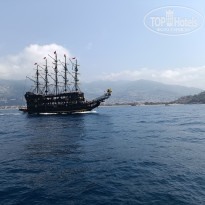 фото из отзыва ID 2367558