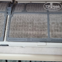 фото из отзыва ID 2367574