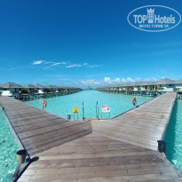 фото из отзыва ID 2367656