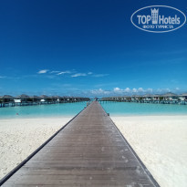 фото из отзыва ID 2367656