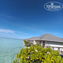 фото из отзыва ID 2367656