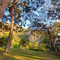 фото из отзыва ID 2367730