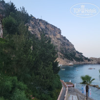 фото из отзыва ID 2367730