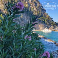 фото из отзыва ID 2367730