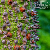 фото из отзыва ID 2367826