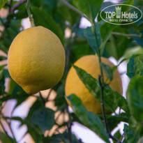 фото из отзыва ID 2367826