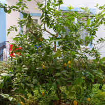 фото из отзыва ID 2367826