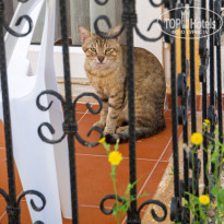 фото из отзыва ID 2367826