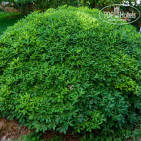 фото из отзыва ID 2367826