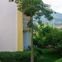 фото из отзыва ID 2367826