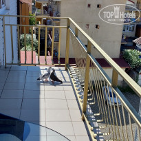 фото из отзыва ID 2367841