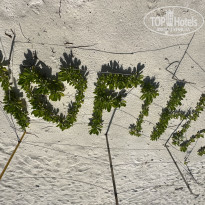 фото из отзыва ID 2367853