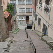 фото из отзыва ID 2365748