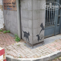 фото из отзыва ID 2365748