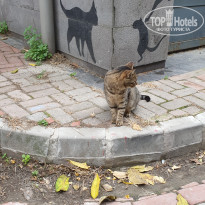 фото из отзыва ID 2365748