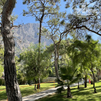 фото из отзыва ID 2367896