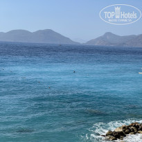 фото из отзыва ID 2367896