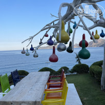 фото из отзыва ID 2367896