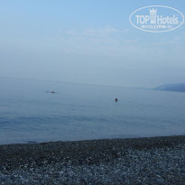 фото из отзыва ID 2367958