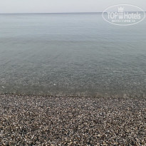 фото из отзыва ID 2366484