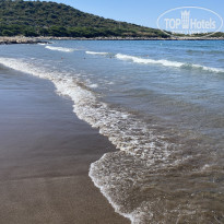 фото из отзыва ID 2366484