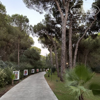 фото из отзыва ID 2368150