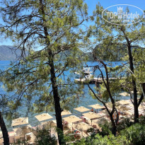 фото из отзыва ID 2368152