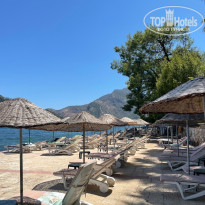 фото из отзыва ID 2368152